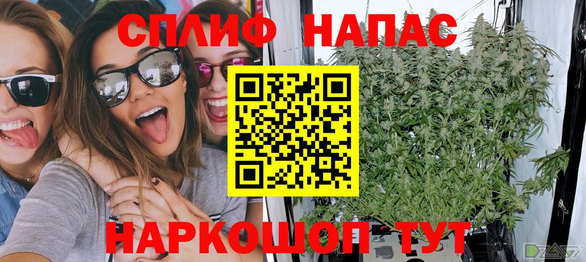 Каннабис ГИДРОПОН Россия